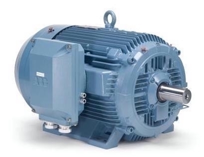 Picture of Squirrel Cage 3 Phase Motor 90 Kw