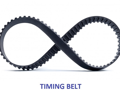 Picture of Timing Belt